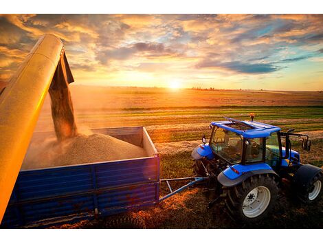 Troca de Baterias para Equipamentos Agrícolas em Campo Magro